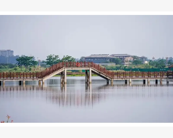 海底椰清肺止咳化痰汤：中医科普，关爱呼吸健康，享受清新生活