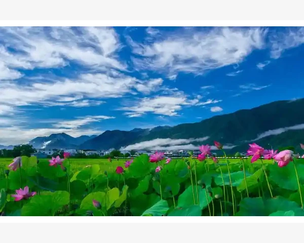 失眠困扰？食疗来救你！