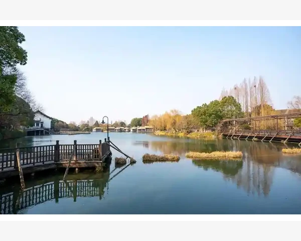 肝郁气滞为何引发脾胃升降失调